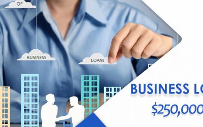 Clarity of the $250,000 Business Loans – COVID19 Help