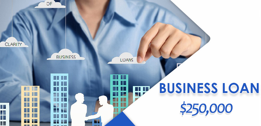 Information on business loans $250000